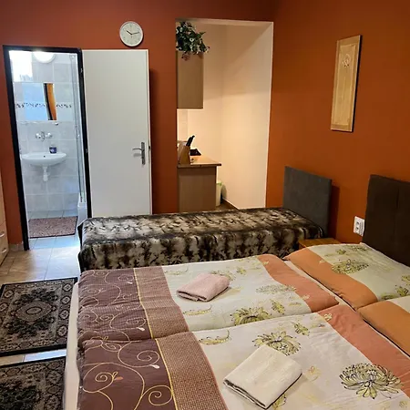 弗洛里达一室公寓旅馆 Štúrovo